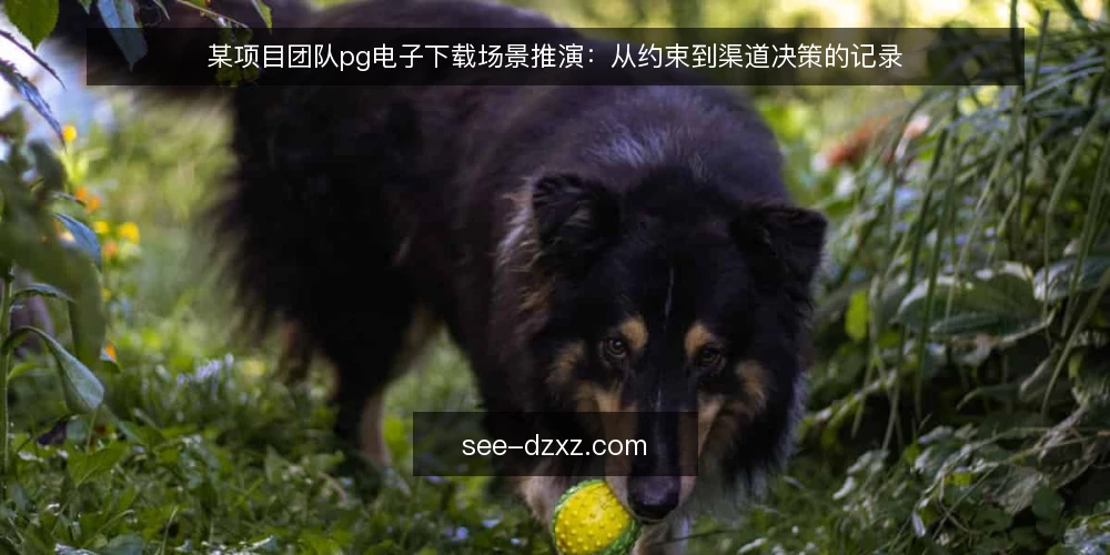 某项目团队pg电子下载场景推演：从约束到渠道决策的记录 — 场景设定与初始约束 配图