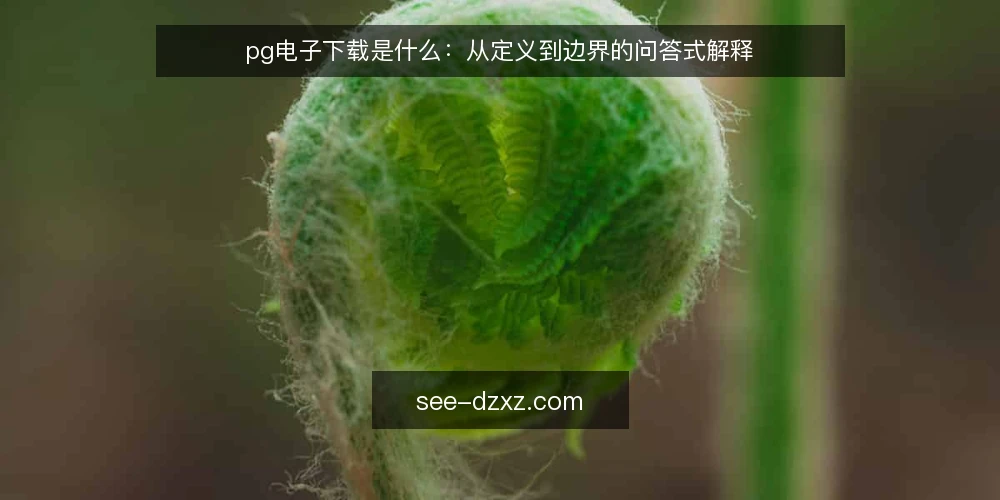 pg电子下载是什么:从定义到边界的问答式解释 — pg电子下载到底指什么 配图